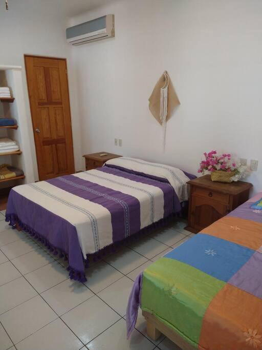 Lush Garden House Near Beaches With Private Pool. Puerto Escondido  Exterior foto