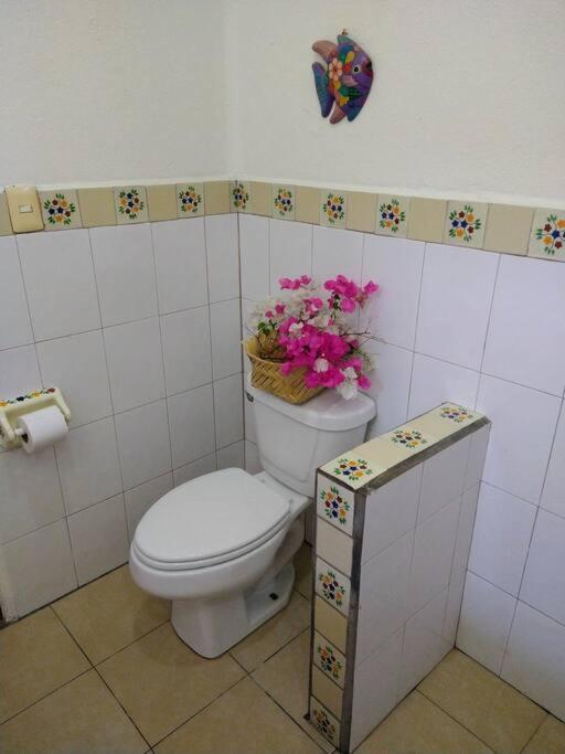 Lush Garden House Near Beaches With Private Pool. Puerto Escondido  Exterior foto